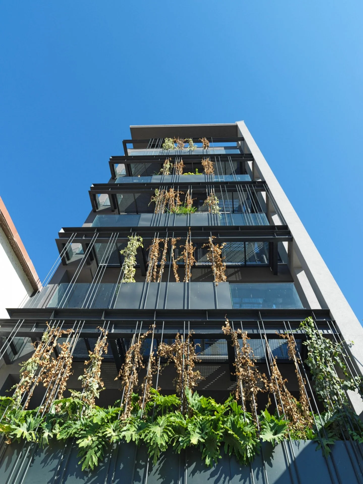 91 Gladstones Building